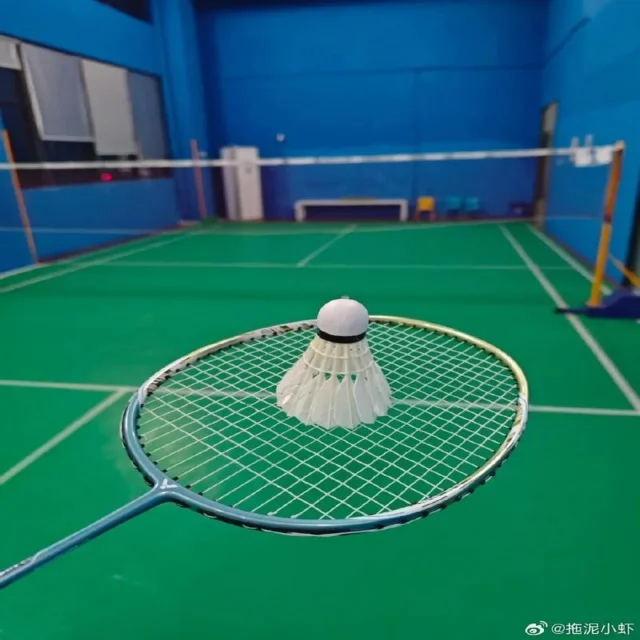 用户通过手机观看比赛